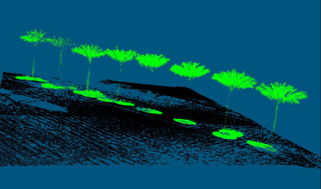 Figure X. Geodetics’ acquired dataset displaying a row of trees in an urban environment. Ground points in the localized area are colored black
